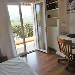 Les Mimosas *