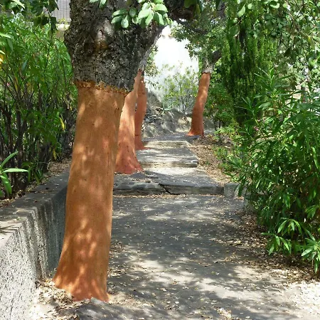 Les Mimosas Villa Collioure