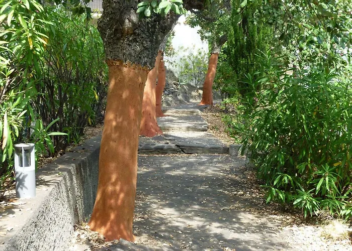 Les Mimosas Villa Collioure